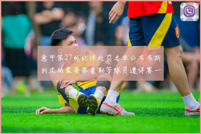 意甲第27轮纪律处罚名单公布韦斯利皮纳蒙蒂弗鲁勒等球员遭停赛一轮