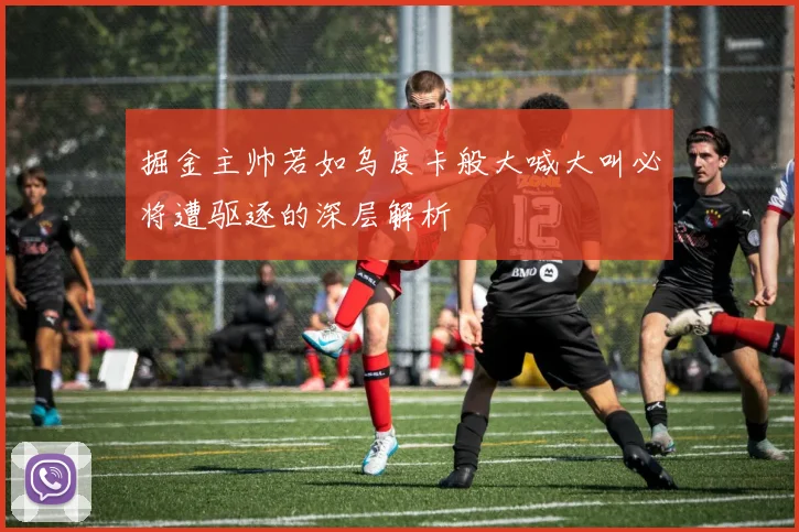 掘金主帅若如乌度卡般大喊大叫必将遭驱逐的深层解析
