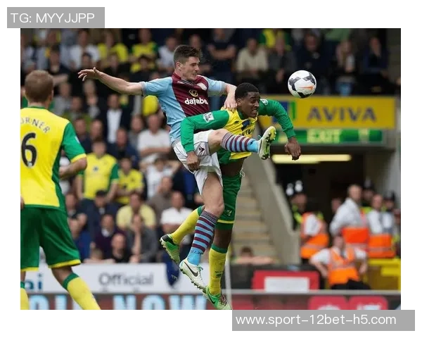 英足总调查热刺与维拉冲突事件球迷热议责任归属